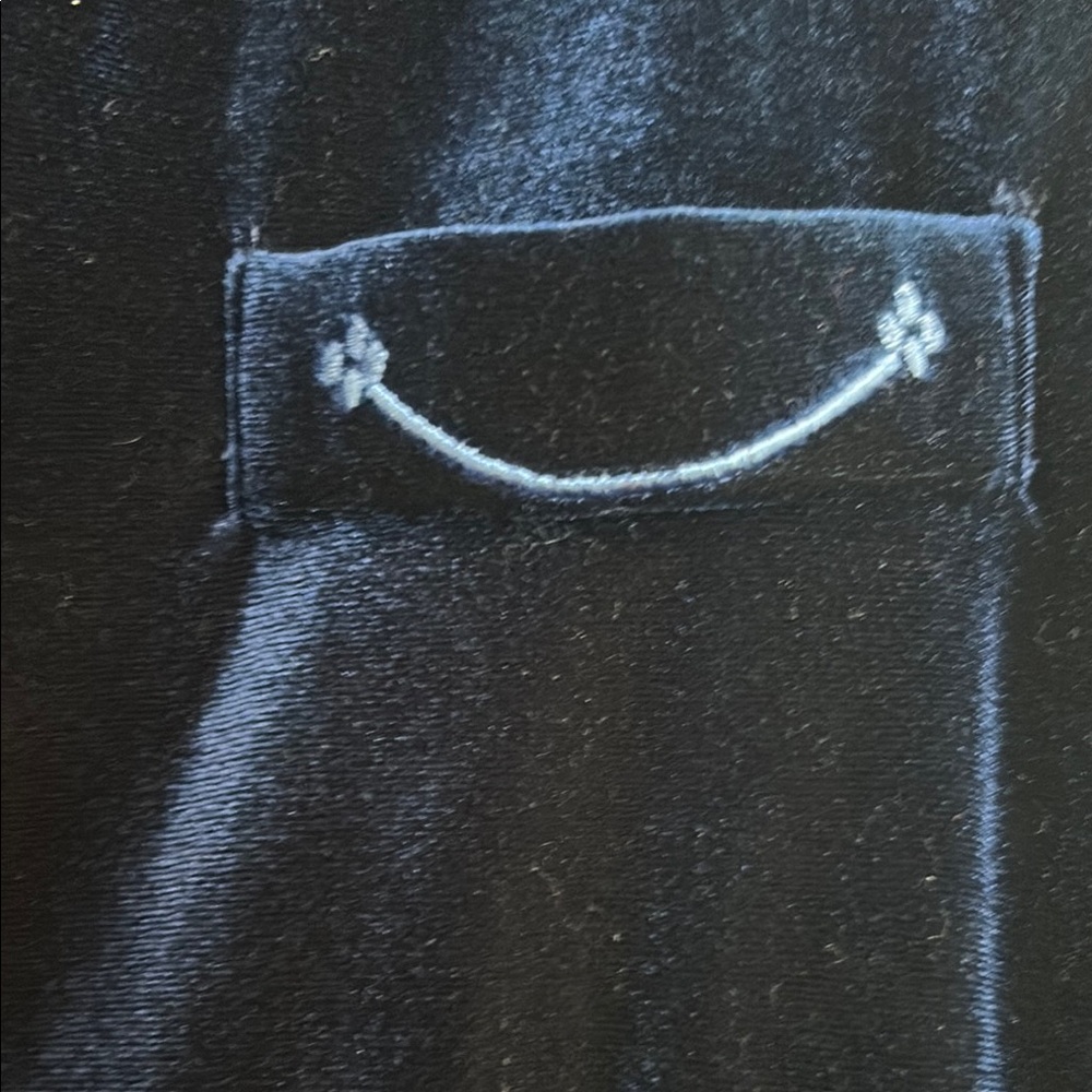 Coldwater Creek Blue Velvet Blazer - Picture 3 of 9
